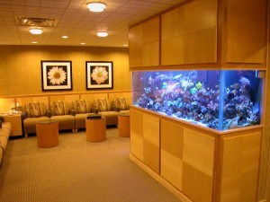 Imagine Advanced Dental Arts office tour